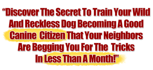 Dog Training Basics